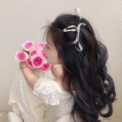 游击飞行中队